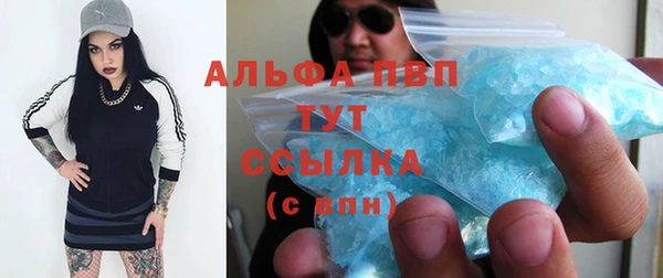 Альфа ПВП Богородск
