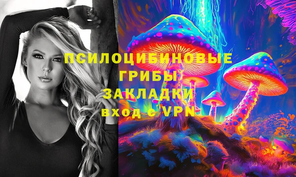 Альфа ПВП Богородск
